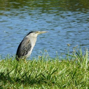 retencja.pl  Zrealizowane projekty Nowe prawo wodne wejdzie w życie za rok
