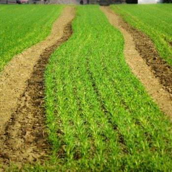 retencja.pl  Zrealizowane projekty Brakuje pieniędzy na melioracje