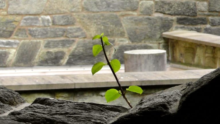 Kompleksowe rozwiązania  gospodarowania wodami opadowymi Strefa wiedzy - Kompleksowe rozwiązania gospodarowania wodami opadowymi Efektywność energetyczna w przedsiębiorstwie wod-kan