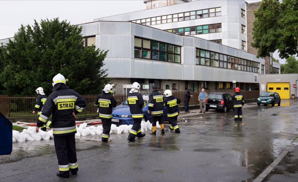 13873025_1137657502942341_7318720232667098356_n