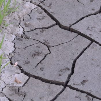 retencja.pl  Zrealizowane projekty Co mówi nowe Prawo wodne na temat suszy?