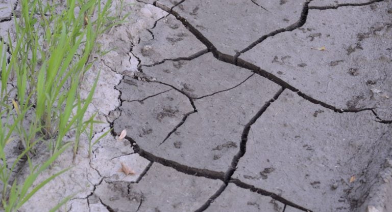 Kompleksowe rozwiązania  gospodarowania wodami opadowymi Strefa wiedzy - Kompleksowe rozwiązania gospodarowania wodami opadowymi Co mówi nowe Prawo wodne na temat suszy?