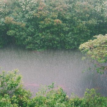 retencja.pl  Blog Czym jest PANDa?