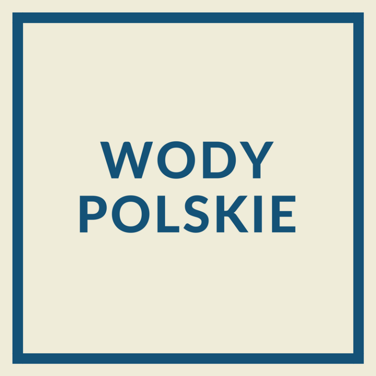Kompleksowe rozwiązania  gospodarowania wodami opadowymi Strefa wiedzy - Kompleksowe rozwiązania gospodarowania wodami opadowymi Wody Polskie mają nowego prezesa