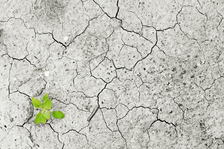 Kompleksowe rozwiązania  gospodarowania wodami opadowymi Strefa wiedzy - Kompleksowe rozwiązania gospodarowania wodami opadowymi Adaptacja do zmian klimatu oraz ograniczanie skutków zagrożeń środowiska.