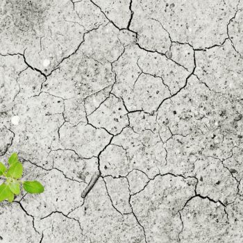 retencja.pl  Zrealizowane projekty Adaptacja do zmian klimatu oraz ograniczanie skutków zagrożeń środowiska.