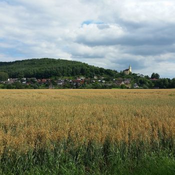 retencja.pl  Zrealizowane projekty Modele opadowe na potrzeby projektowania i modelowania systemów odwodnienia w Kosakowie