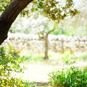 retencja.pl  Zrealizowane projekty NFOŚiGW po raz piąty dofinansuje innowacyjne technologie środowiskowe