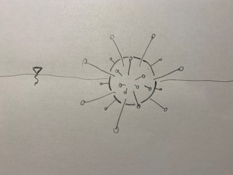Kompleksowe rozwiązania  gospodarowania wodami opadowymi   Blog Koronawirus i susza: co robić?