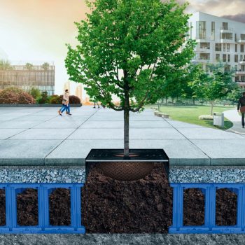 retencja.pl  Zrealizowane projekty Zielone miasta. Zbiorniki ze skrzynek retencyjno-rozsączających, umożliwiające rozwój korzeni i wzrost drzew