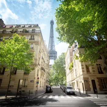 retencja.pl  Zrealizowane projekty Pozwólmy rosnąć drzewom – czyli o znaczeniu zieleni w miastach