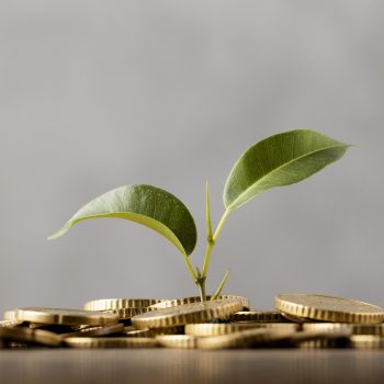 retencja.pl  Zrealizowane projekty Pozyskaj dofinansowanie na nasze produkty/usługi