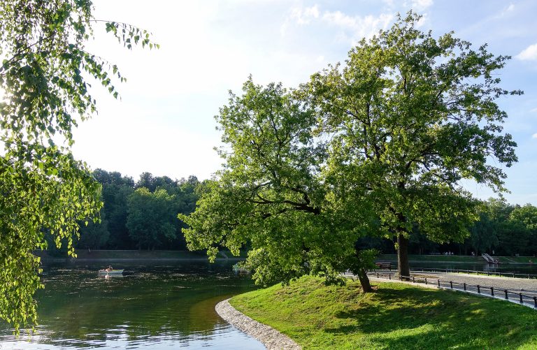 Kompleksowe rozwiązania  gospodarowania wodami opadowymi   Blog FEnIKS, czyli jaki projekt uzyska 85% dofinansowania?