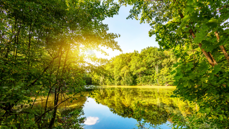 Kompleksowe rozwiązania  gospodarowania wodami opadowymi   Blog Rozwiązania oparte na przyrodzie (Nature based solutions)