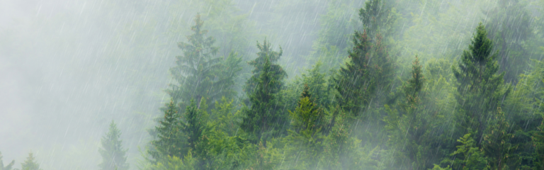 Kompleksowe rozwiązania  gospodarowania wodami opadowymi   Blog Wymiana deszczomierzy korytkowych – dlaczego warto?